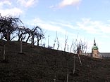  Prague Castle from Petrin 